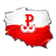 Koszulka bawełniana | PL | III RP 01 - obrazek 2